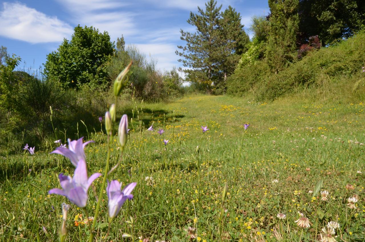 Agriturismo Villa Mozart Nel Verde Gubbio Extérieur photo