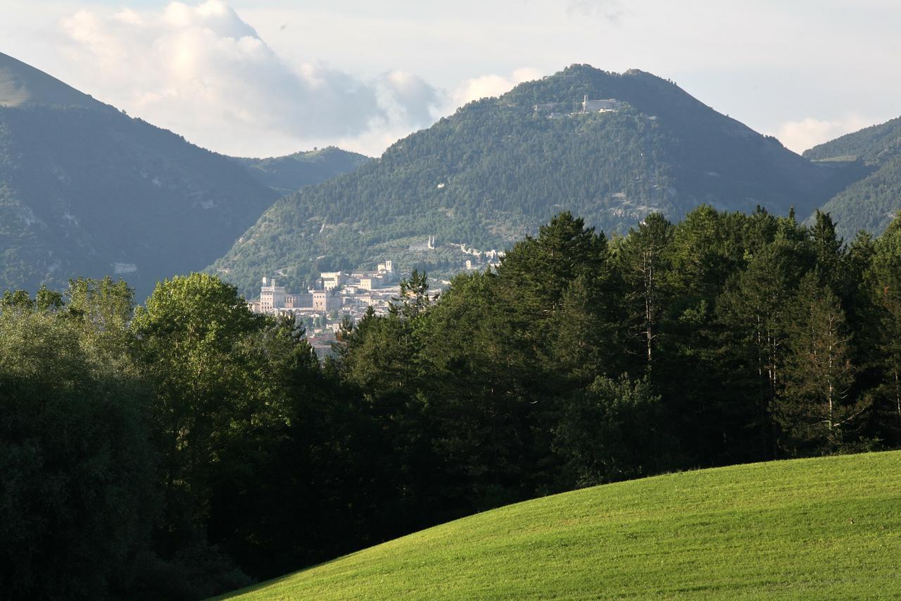 Agriturismo Villa Mozart Nel Verde Gubbio Extérieur photo
