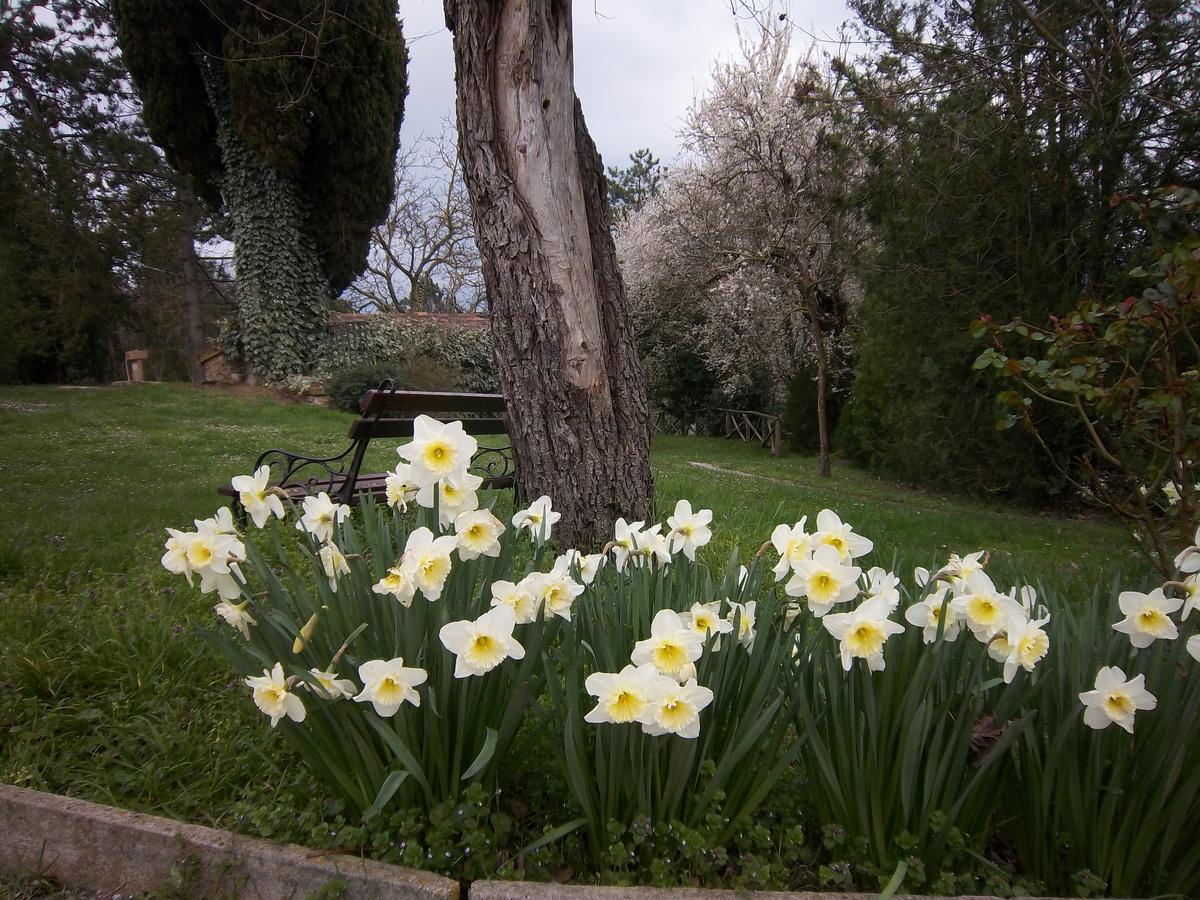 Agriturismo Villa Mozart Nel Verde Gubbio Extérieur photo