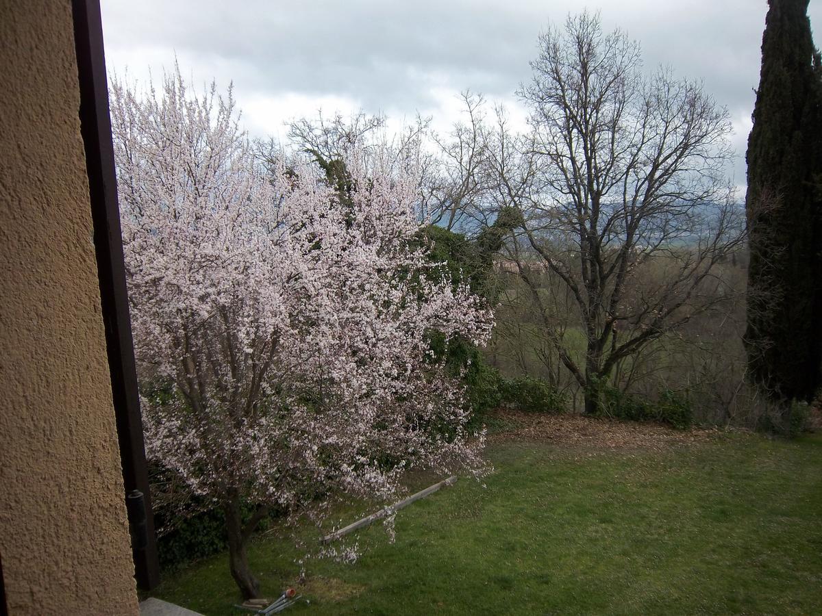 Agriturismo Villa Mozart Nel Verde Gubbio Extérieur photo
