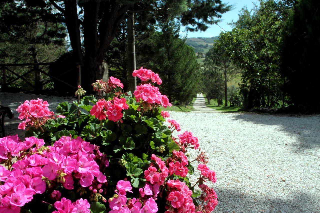 Agriturismo Villa Mozart Nel Verde Gubbio Extérieur photo