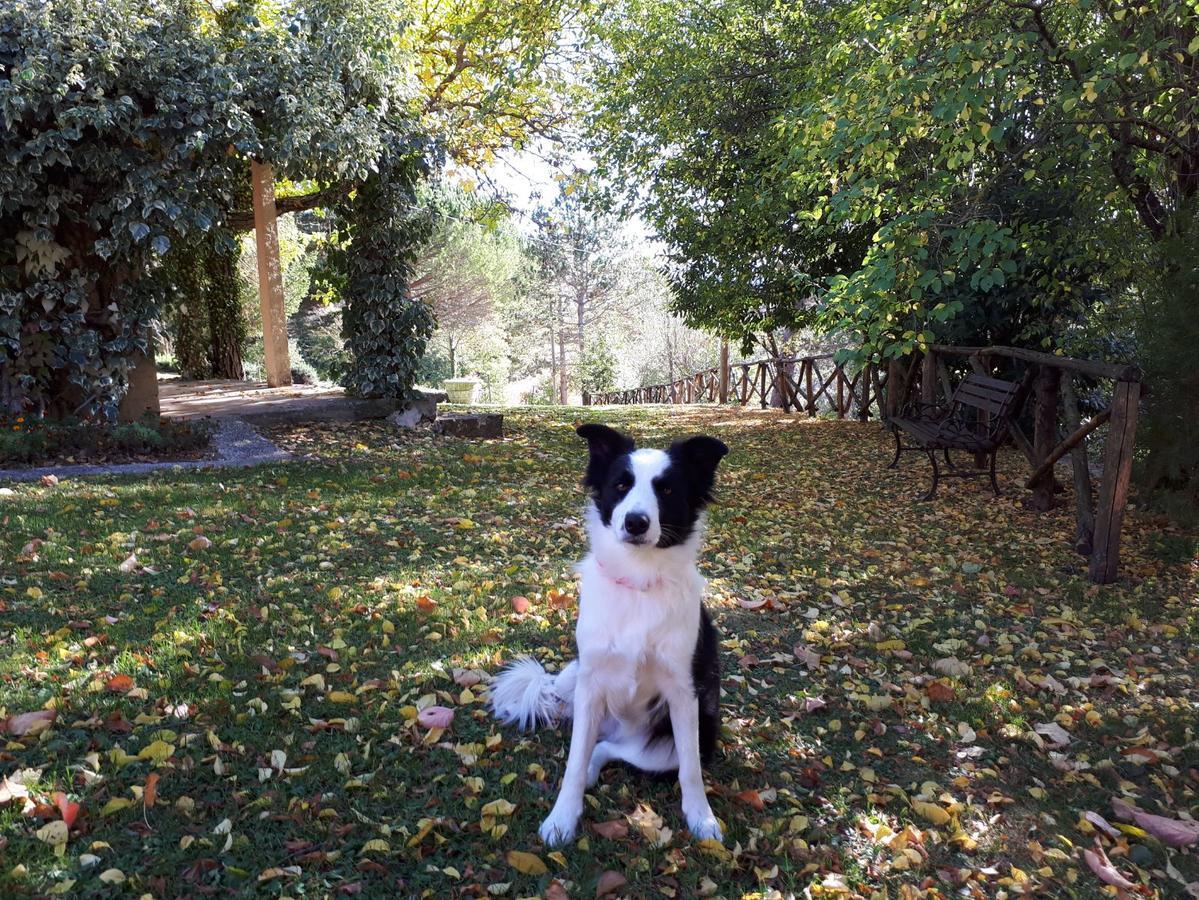 Agriturismo Villa Mozart Nel Verde Gubbio Extérieur photo