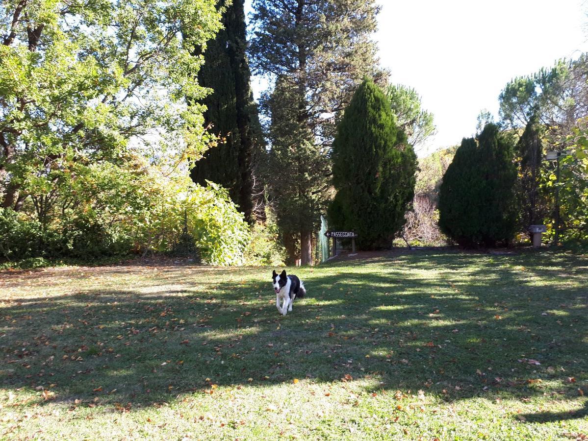 Agriturismo Villa Mozart Nel Verde Gubbio Extérieur photo