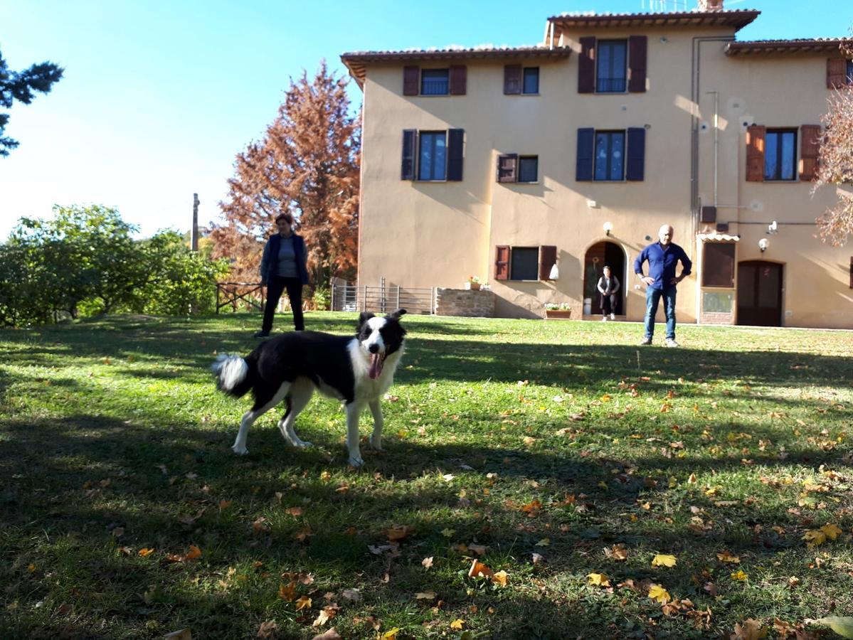 Agriturismo Villa Mozart Nel Verde Gubbio Extérieur photo