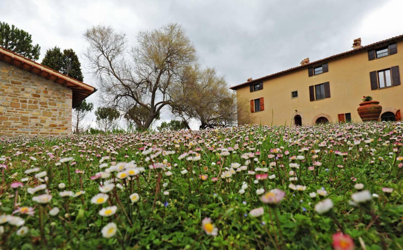 Agriturismo Villa Mozart Nel Verde Gubbio Extérieur photo